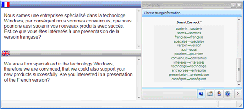 Personal Translator SmartCorrect Example French-English